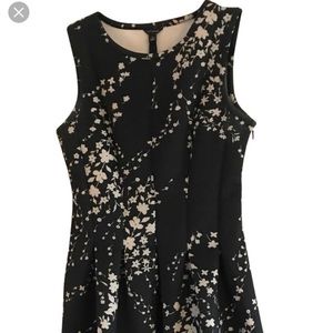 NWT Ann Taylor Floral Scuba Cocktail Dress